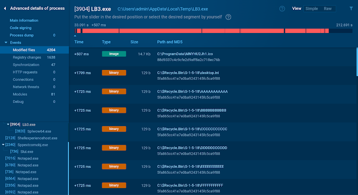 Dynamic Malware Analysis