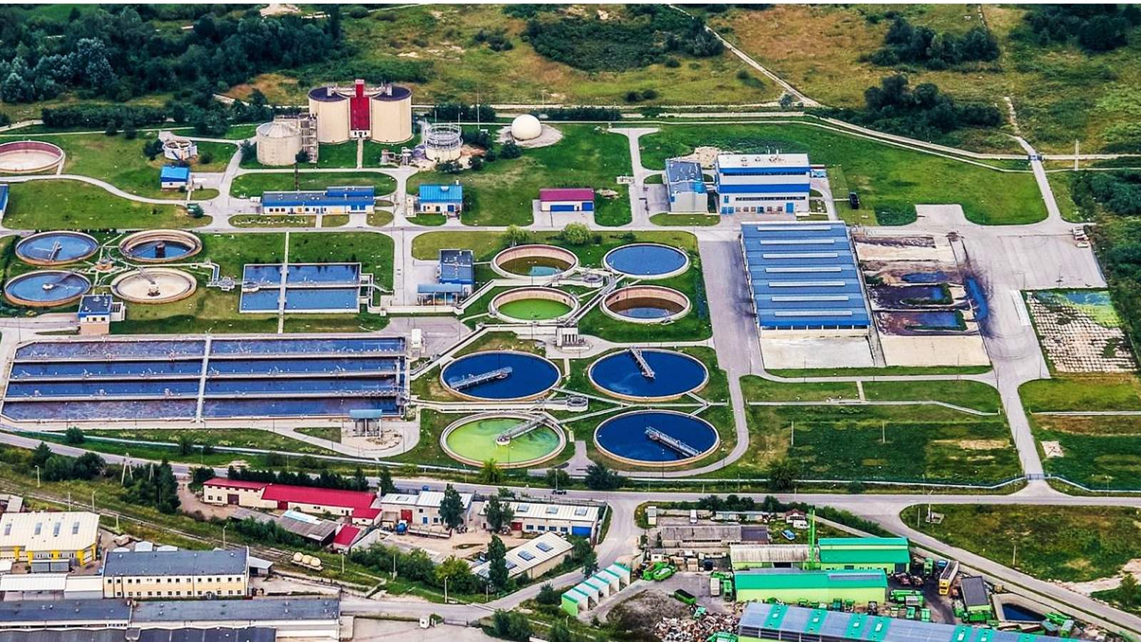 Water plant