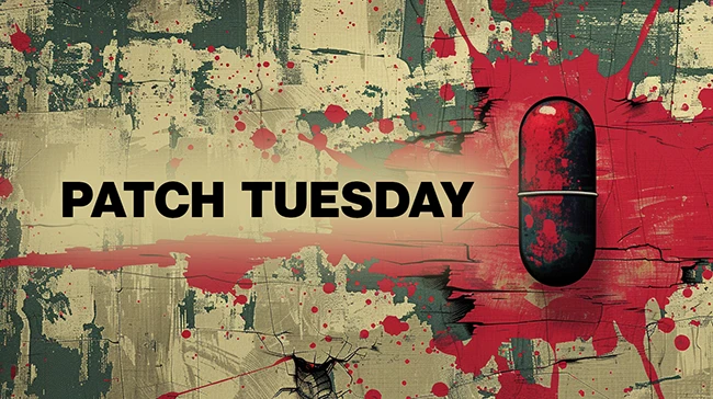 Patch Tuesday CVE-2024-49138