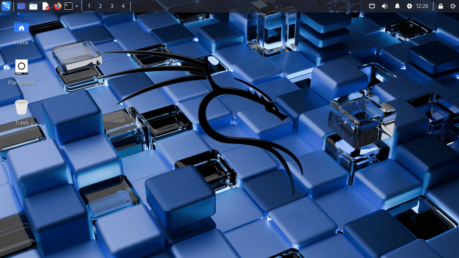 New Kali desktop wallpaper in version 2025.1