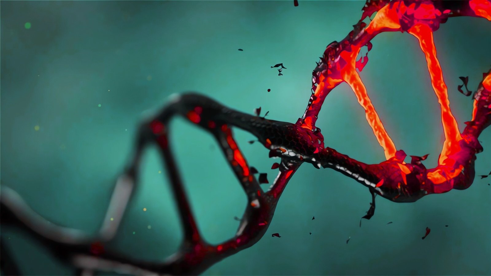 DNA