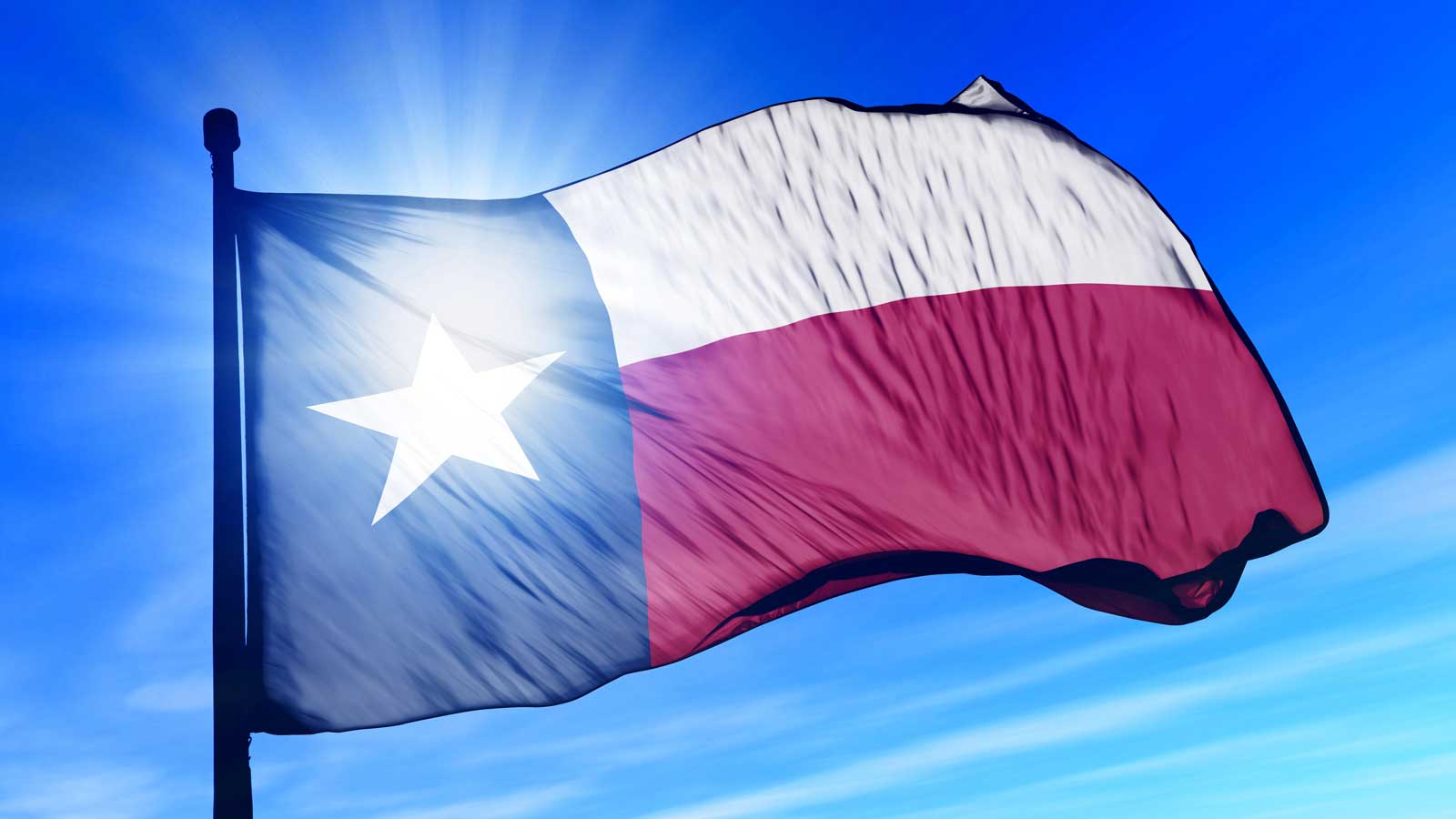 Texas flag