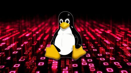 CISA warns of attackers exploiting Linux flaw with PoC exploit